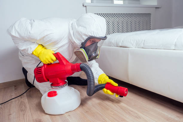 Professional Pest Control in Grand Prairie, TX